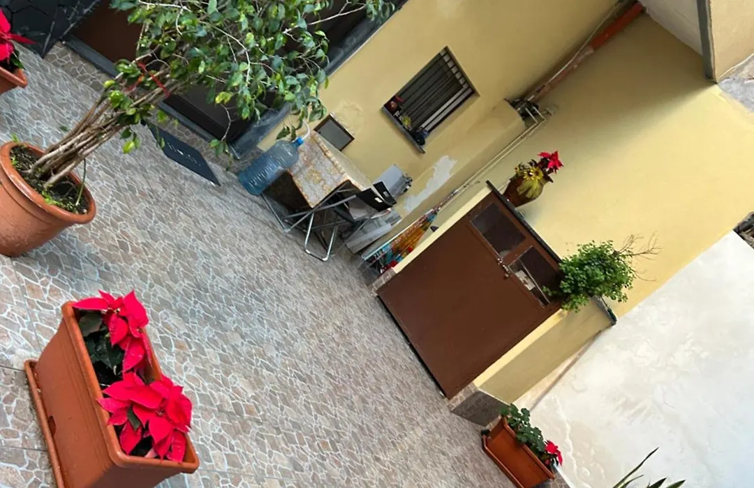 Dany House-1