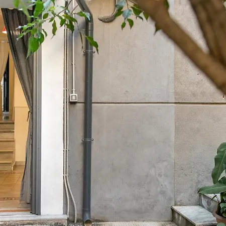 The House-3
