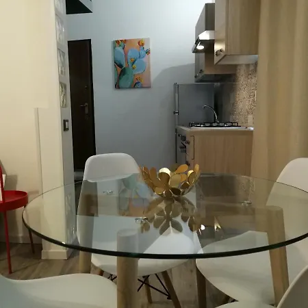 Ficodindia mini Loft-3