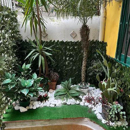 Amuri di casa Scogliera-3