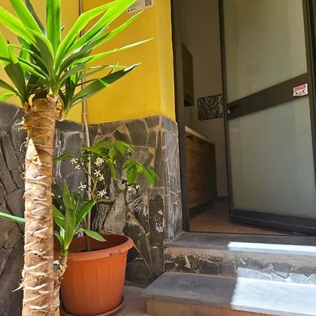 Marisol Home-2
