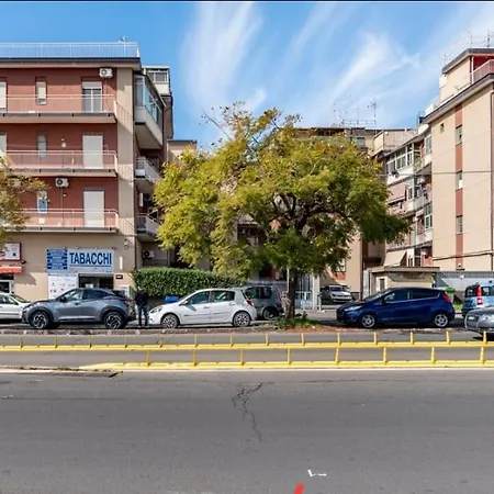 Colle degli Ulivi-3