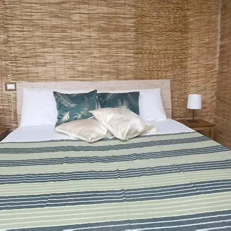 Cerami Jungle Suite-2