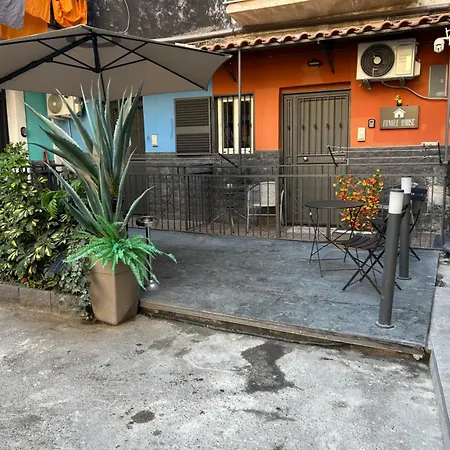 Fanale House-3