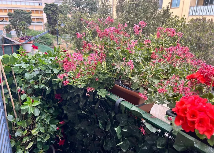 Savia Home Catania