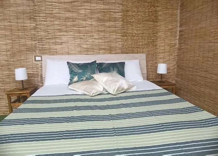 Cerami Jungle Suite Catania