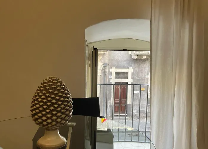 Suite 241 Katania