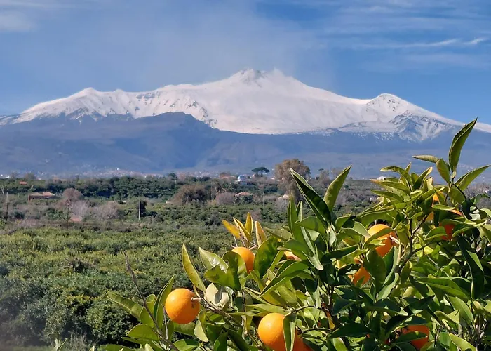 Appartamento Due passi dal centro Catania